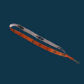 Lanyard